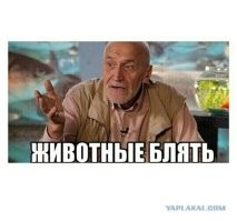 Такие маленькие, а уже вандалы