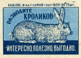 Женщина устроила из чужого подъезда крольчатник, куда таскает тухлые продукты, пока соседи задыхаются