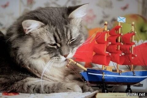 "...в той бухте,
Где Ассоль дождалась Грея..."