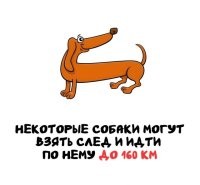За кем? Кто этот придурок, который пешком убегает от собаки 160 км?