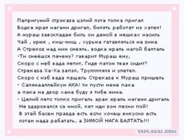 Модель Playboy вынуждена жить на улице
