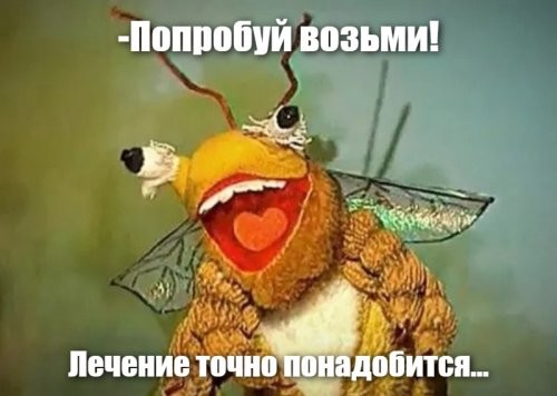 Солянка от 20.05.2025