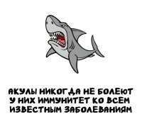 Почему только акулы? Кто-то видел чихающих рыб?
