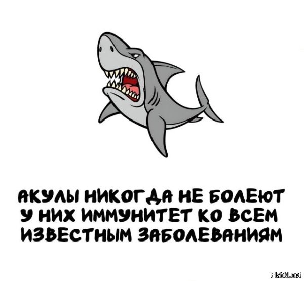 Почему только акулы? Кто-то видел чихающих рыб?