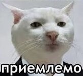 Не ищите здесь смысл. Здесь в основном маразм