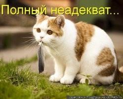 Почему горе? ))