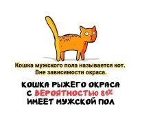 А вдруг ты не знал…
