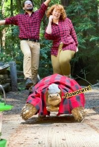 Всё вразнобой&nbsp;