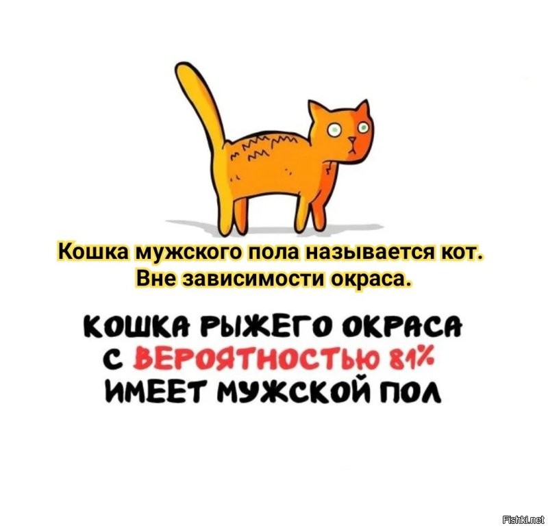 А вдруг ты не знал…