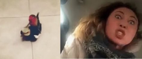 Просто гифки, всякие и&nbsp;разные