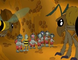 В Японии существует необычная профессия — ловец гигантских азиатских шершней