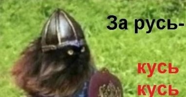 Котик с Донбасса