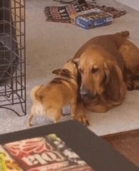 Просто гифки, всякие и&nbsp;разные