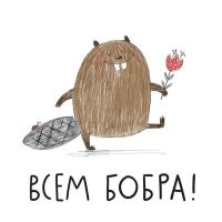 Ухмылки, оскалы и довольные моськи: 20 фото творений природы, которые улыбаются лучше нас