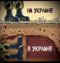 Шёл бы родинку свою защищать, спал бы спокойно. Это не дятел, это совесть хохлятская.