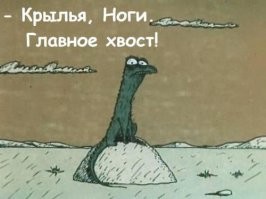 12 удивительных птиц, которые разучились летать