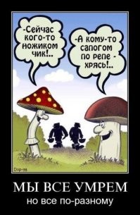 Не ищите здесь смысл. Здесь в основном маразм