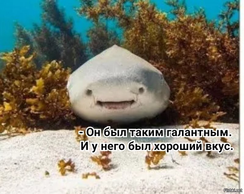 Не ищите здесь смысл. Здесь в основном маразм