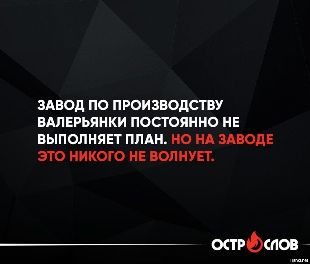 Солянка от 22.05.2025