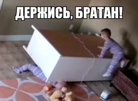 Бурная река чуть не разлучила четвероногих друзей