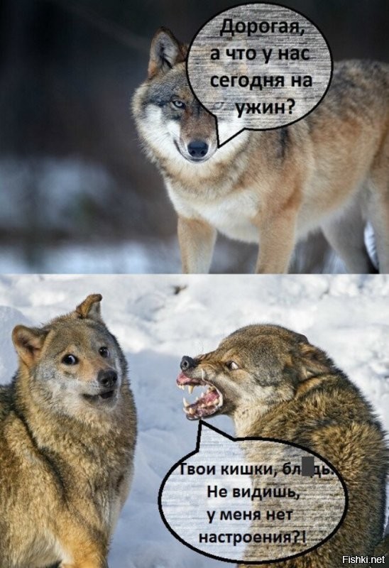 Демотиваторов пост
