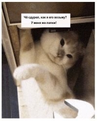 Просто гифки, всякие и&nbsp;разные