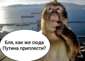Ты смог!