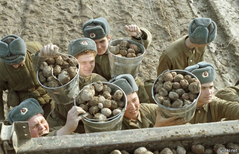 у нас тоже есть духи с ароматом картошки...
