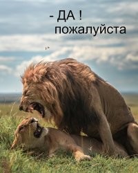 Демотиваторов пост