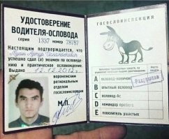 Как с таким ВУ ему грузовик доверили, загадка.