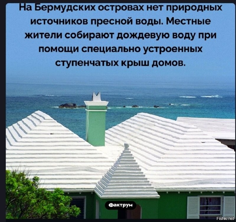 Солянка от 23.05.2025