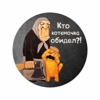 Любопытный кот и пылесос