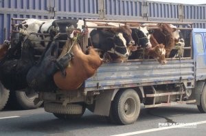 "Наружные" места введут в 2030м?