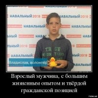 О политике и не только
