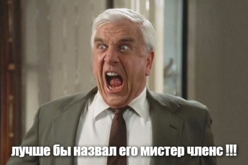 Коты как проводники гармонии: 20 примеров того, как усатые создают уют в доме и равновесие во Вселенной