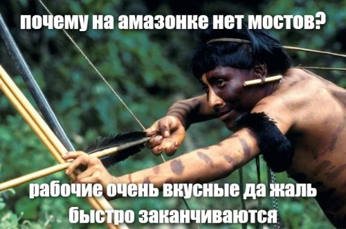Почему на Амазонке нет мостов