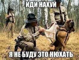 Первый рабочий день у американских щенков-полицейских