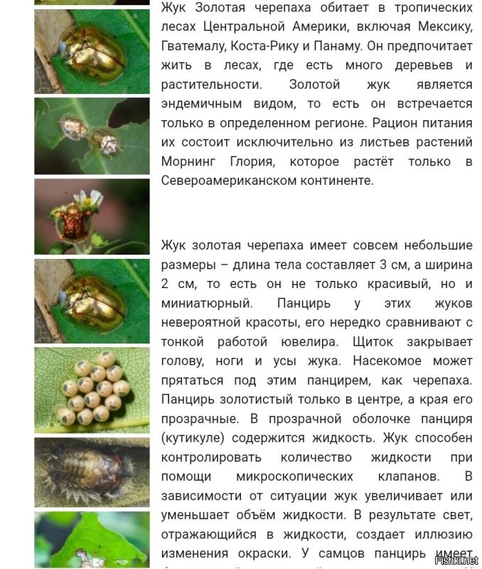Солянка от 23.05.2025