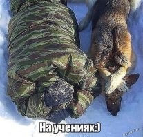 Просто гифки, всякие и&nbsp;разные