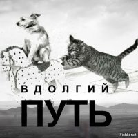 О политике и не только