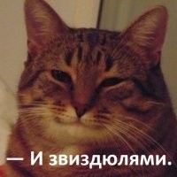 В Подмосковье задержали треш-блогеров после надругательства над православным крестом