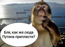 Макрон получил леща...