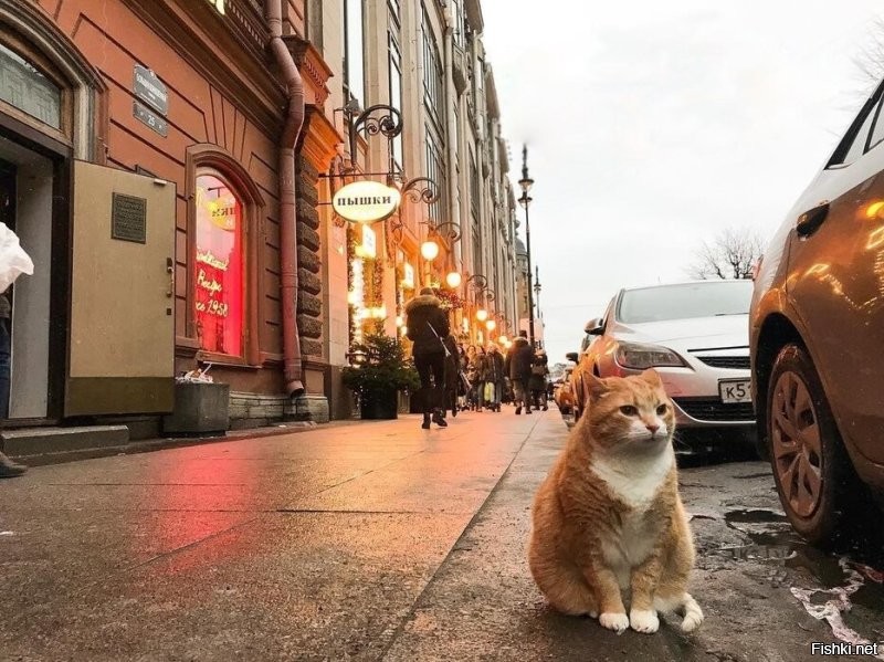 Доброго утра