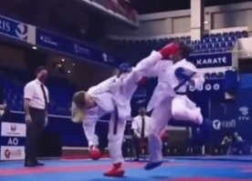 Какой красивый иппон. ))