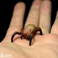 Паутинный клещ: подозрительная "непаучья" паутина в саду и последствия заражения растений