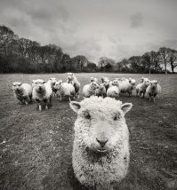 Там таких много заходит)