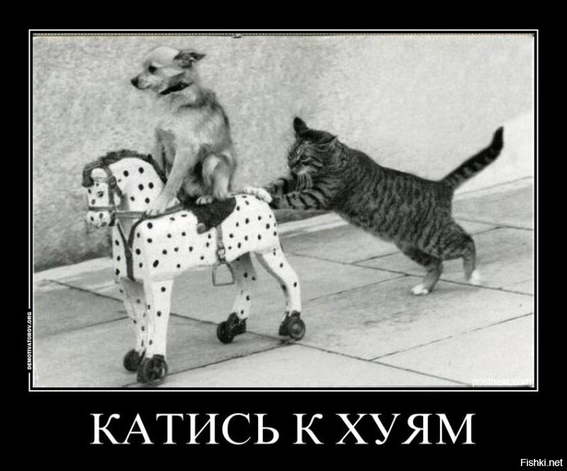 Покатай меня, маленькая лошадка