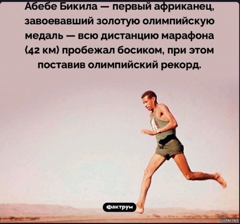 Солянка от 26.05.2025