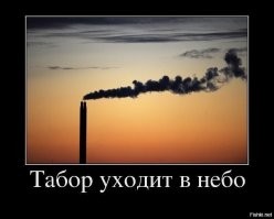Обматерили кондуктора всем табором: цыгане с детьми начали скандал со всем автобусом