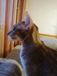 Мой. К сожелению уже на радуге.